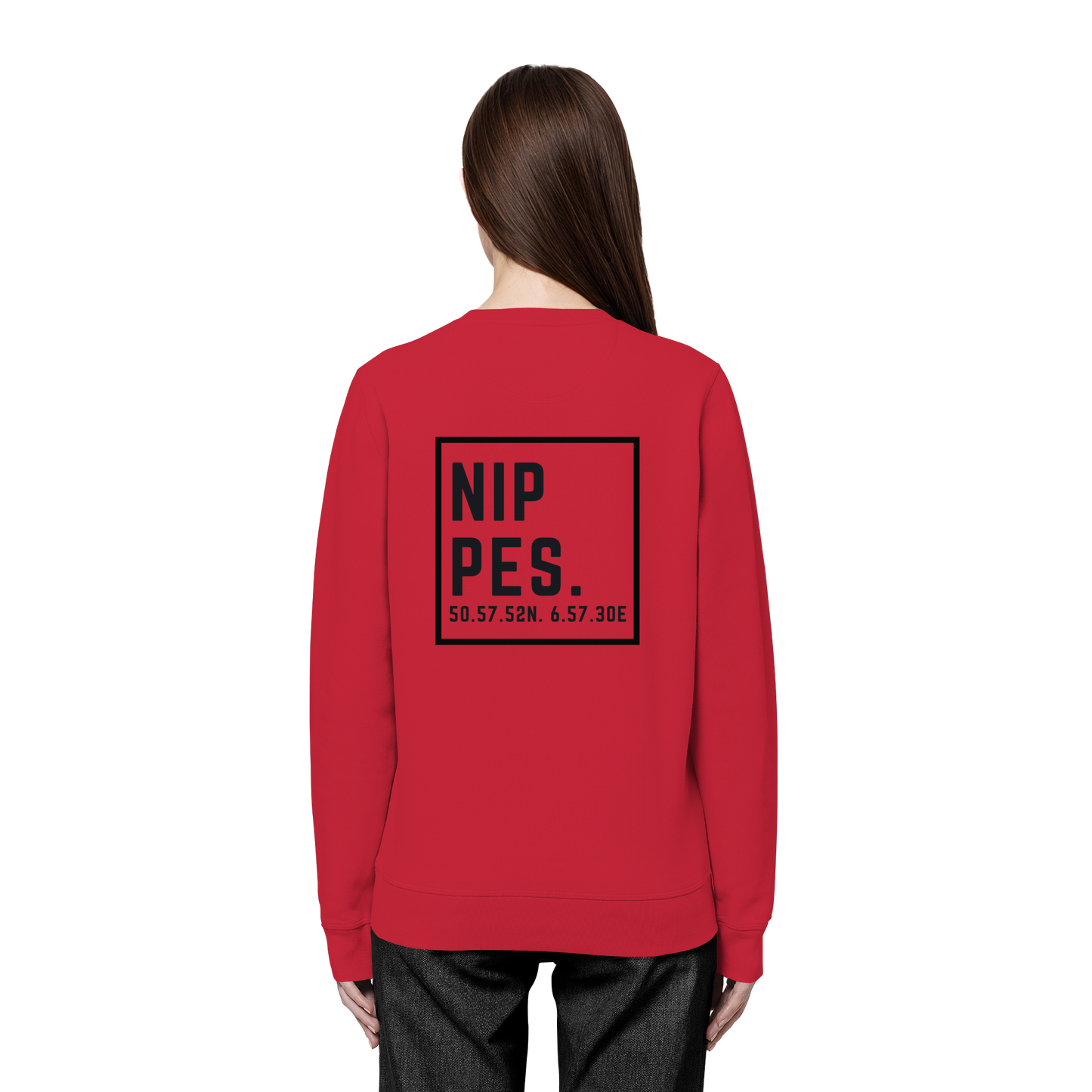 Nippes Koordinaten (großer Druck auf dem Rücken) - Organic Basic Unisex Sweatshirt